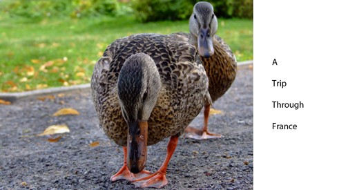 Photoshop : Photoshop: 